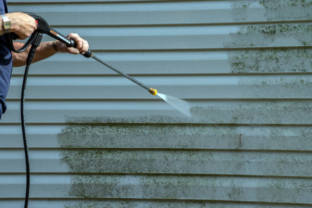 Professional Pressure Washing in Paulina, LA