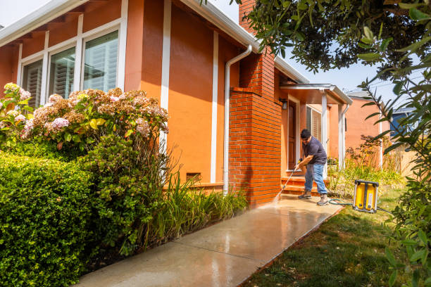 Best Pressure Washing Near Me  in Paulina, LA